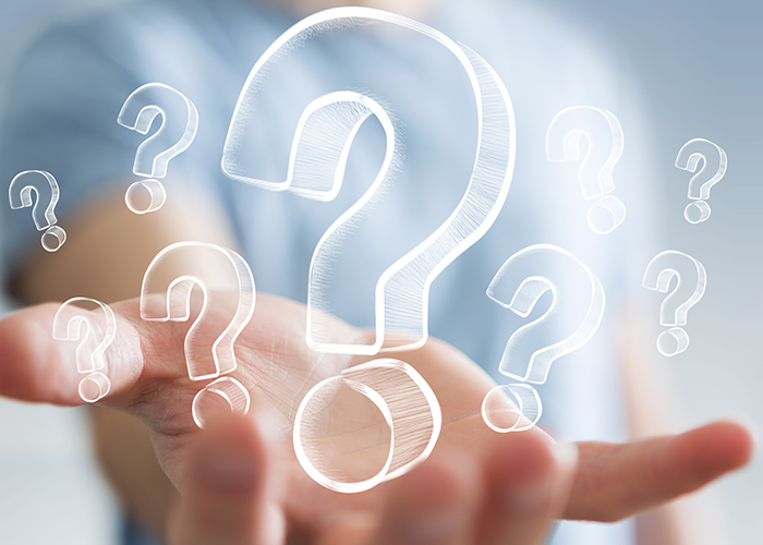 Credit Report Questions
